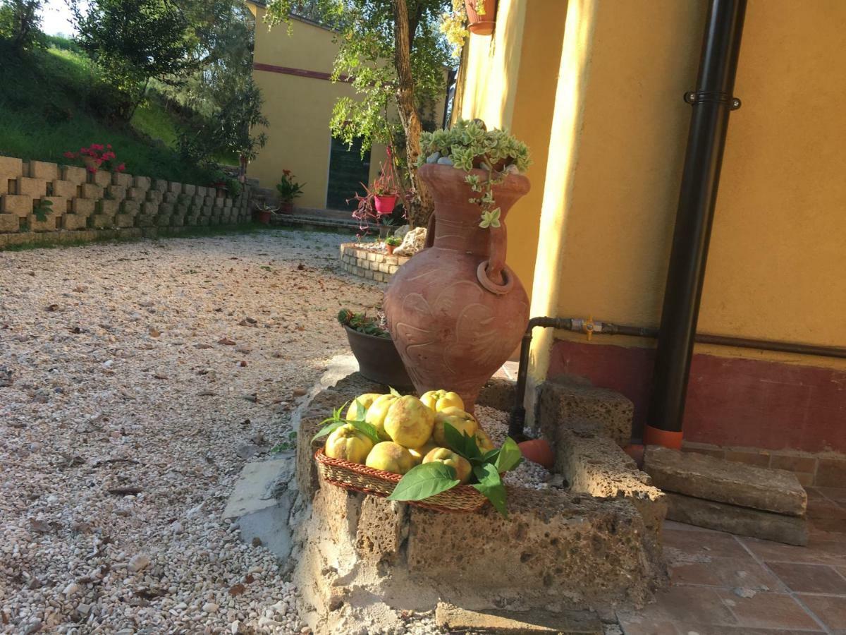 Agriturismo Fattoria Del Colle Ези Экстерьер фото