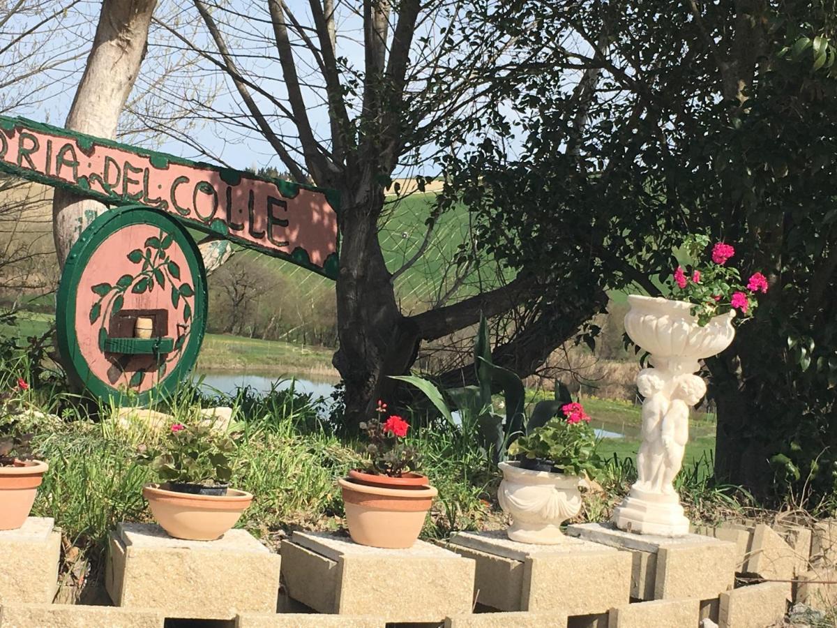 Agriturismo Fattoria Del Colle Ези Экстерьер фото