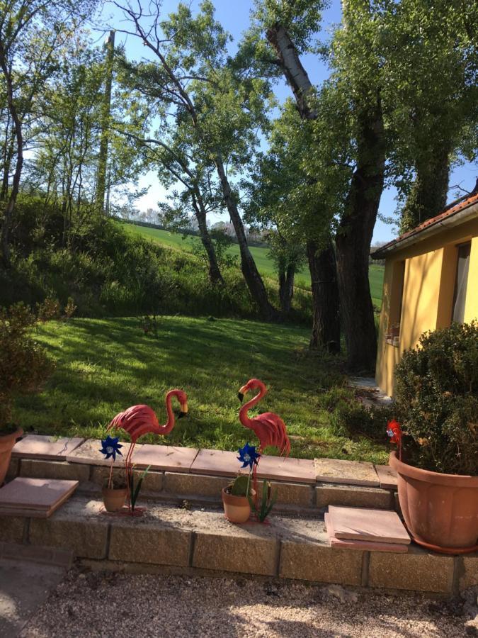 Agriturismo Fattoria Del Colle Ези Экстерьер фото